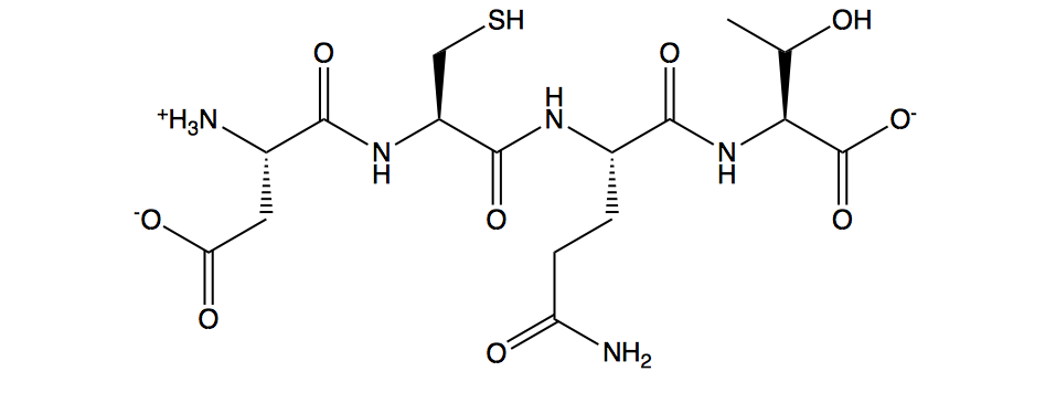 sh-Polypeptide 1