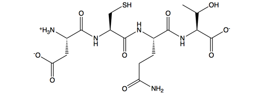 sh-Polypeptide 1