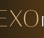 EXOnext Logo